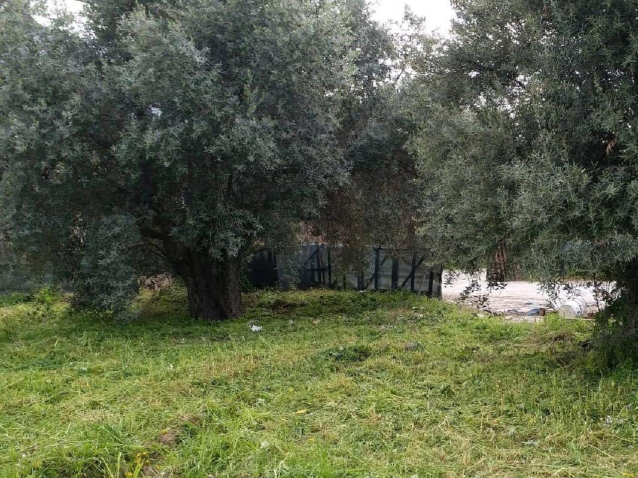 Βίλα Suluca Homes *