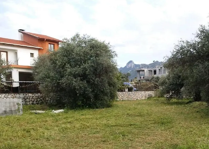 Suluca Homes